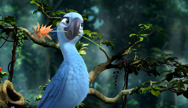 Blue bird leaf branch forest free wallpaper - medium preview image