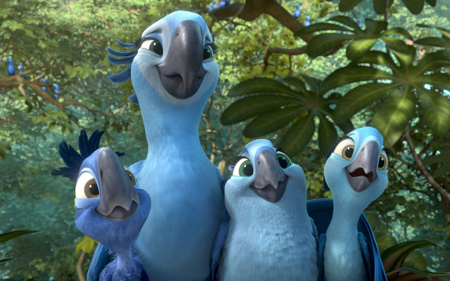 Birds forest trees bushes blue free wallpaper - medium preview image