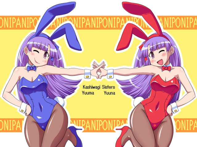 Anime girls purple hair bunny free wallpaper for desktop - medium preview image