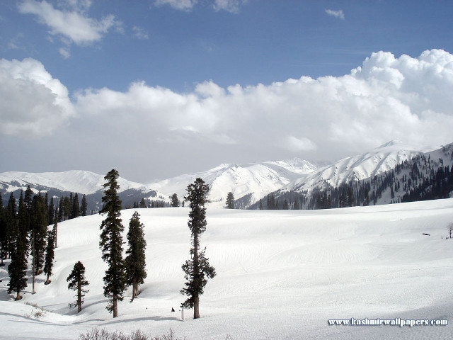 Snowy mountain trees sky clouds #2 free wallpaper - medium preview image