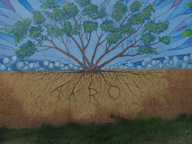 Tree roots sky clouds stars free wallpaper - medium preview image