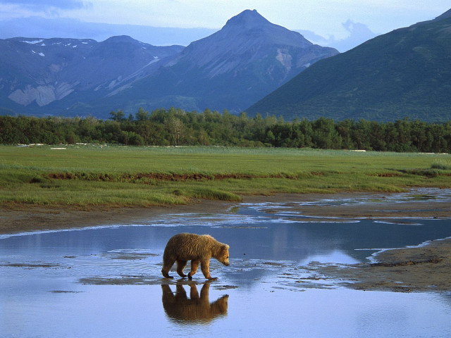 Bear river mountains grass reflection free wallpaper - medium preview image