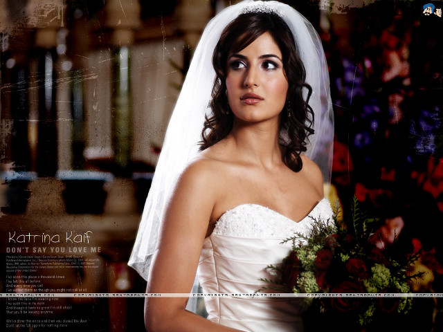 Woman wedding dress bouquet serious free wallpaper - medium preview image