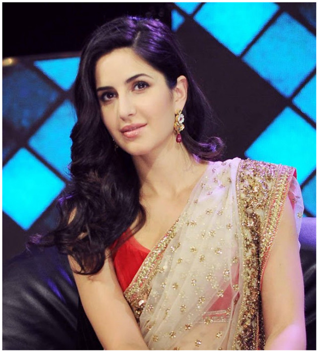 Woman sari sitting posing hands free wallpaper - medium preview image
