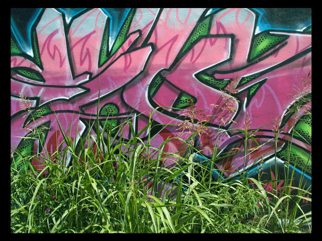 Graffiti wall grass person standing free wallpaper - medium preview image