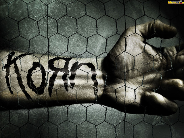 Hand tattoo chicken wire fence free wallpaper - medium preview image