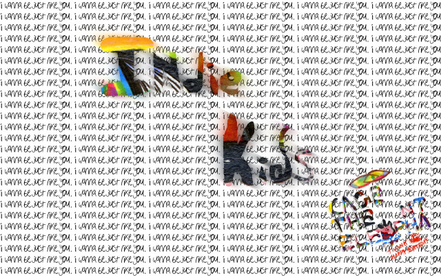 Dog hat umbrella background items free wallpaper - medium preview image