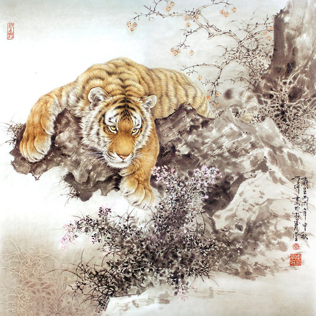 Tiger laying rock forest tree free wallpaper - medium preview image