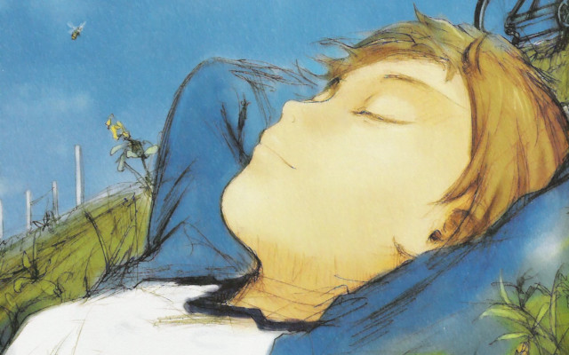 Boy sleeping hill bird flying free wallpaper - medium preview image