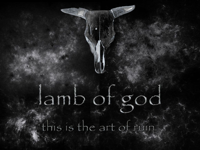 Bull skull black white lamb free wallpaper for desktop - medium preview image