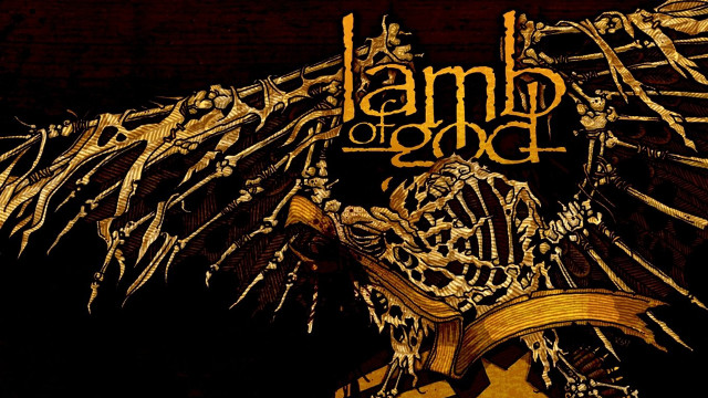 Bird name backside skeleton back free wallpaper - medium preview image