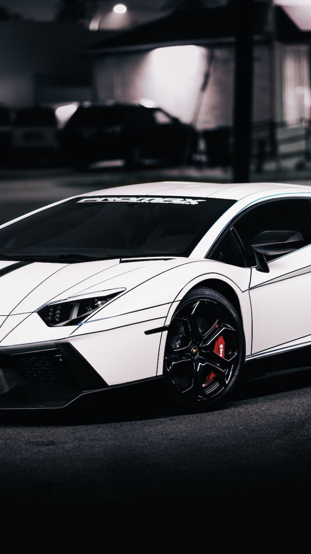 White lamb car parking lot free wallpaper - medium preview image
