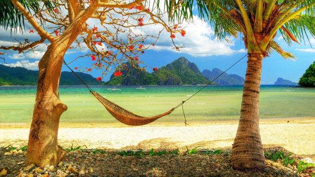 Hammock palm trees beach ocean free wallpaper - medium preview image