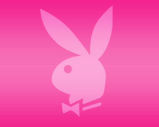 Pink bunny bow tie head free wallpaper - medium preview image