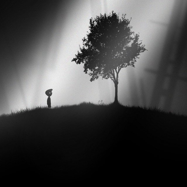 Person standing tree dark umbrella free wallpaper - medium preview image