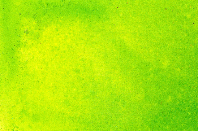 Green background black border white #5 free wallpaper - medium preview image