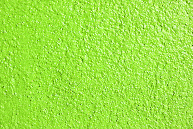 Green wall black white cat free wallpaper - medium preview image