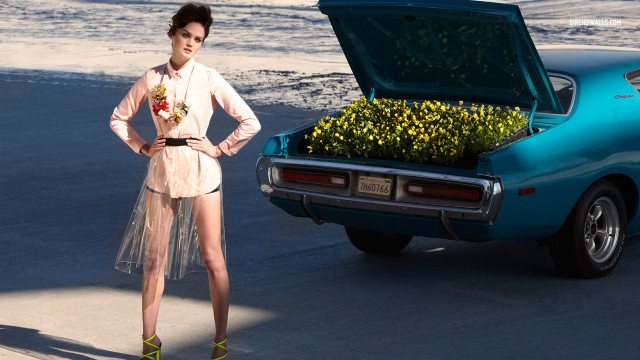 Woman car flowers trunk standing free wallpaper - medium preview image