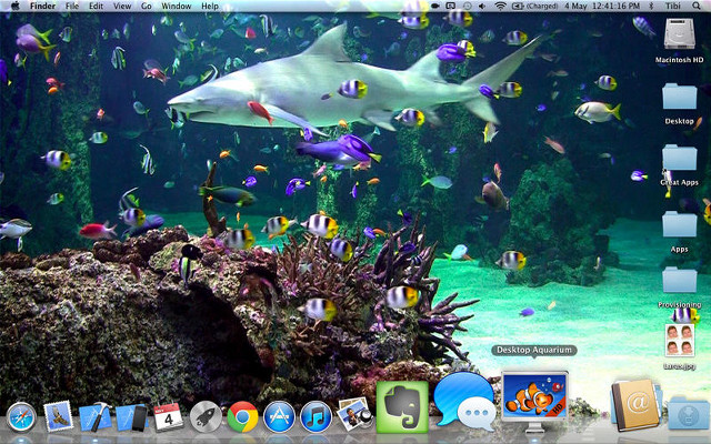 Desktop computer shark fish window free wallpaper - medium preview image
