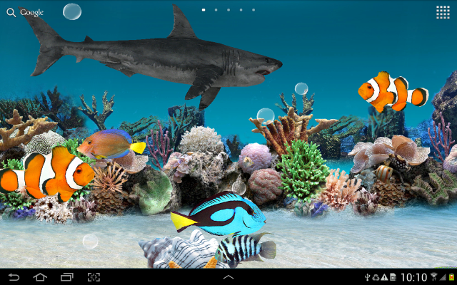 Computer screen fish shark ocean free wallpaper - medium preview image