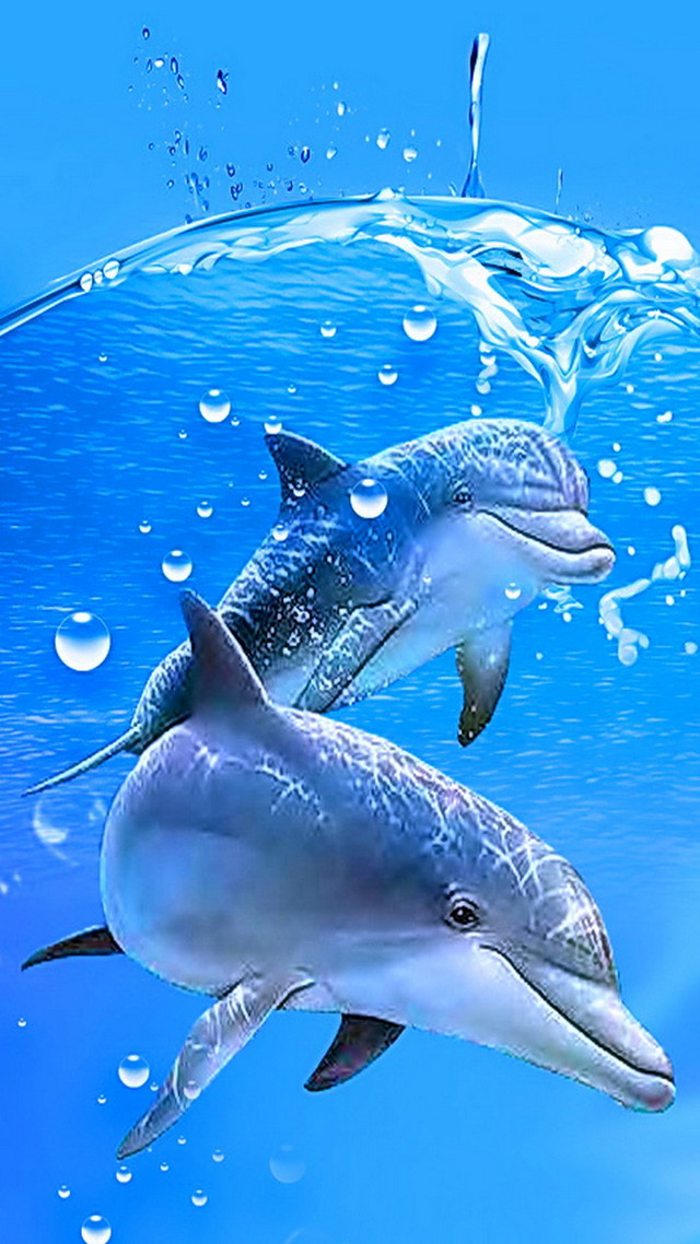 Dolphins swimming ocean bubbles wave free wallpaper - medium preview image