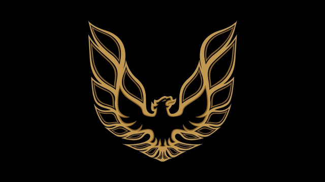 Golden bird wings black background free wallpaper - medium preview image