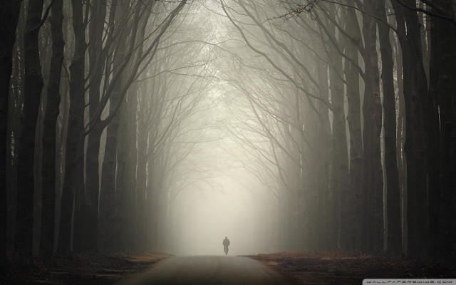 Forest fog person walking road free wallpaper - medium preview image
