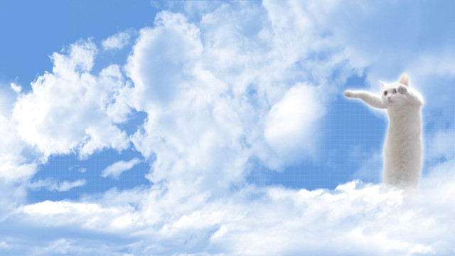 Cat flying clouds sky arms free wallpaper - medium preview image