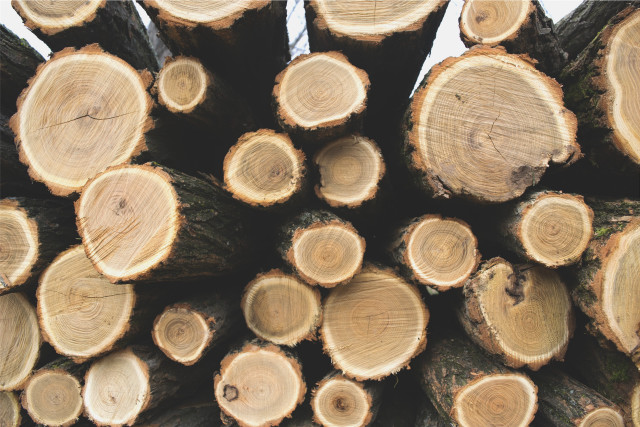 Cut logs stack white background free wallpaper - medium preview image