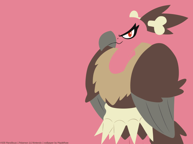 Bird big beak head image free wallpaper - medium preview image