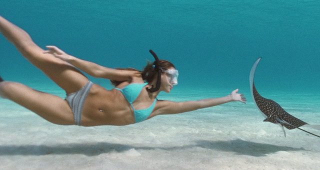 Woman bikini diving stingfish ocean free wallpaper - medium preview image