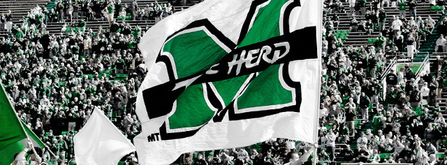 Stadium crowd flags banners green free wallpaper - medium preview image