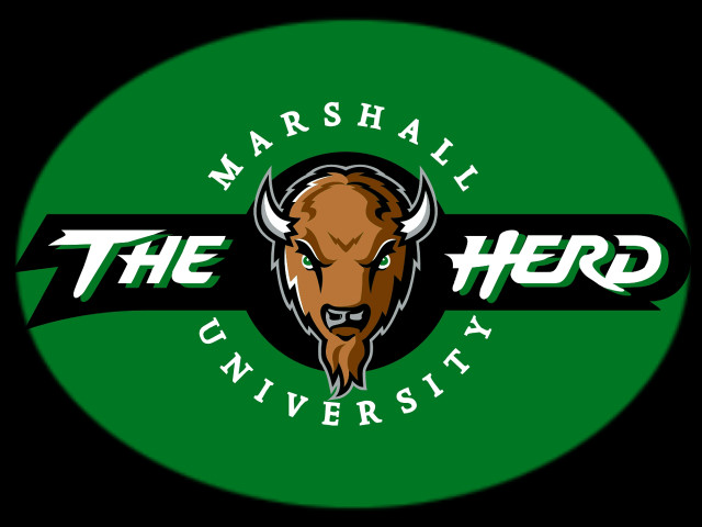 Green circle bull logo marshall free wallpaper - medium preview image