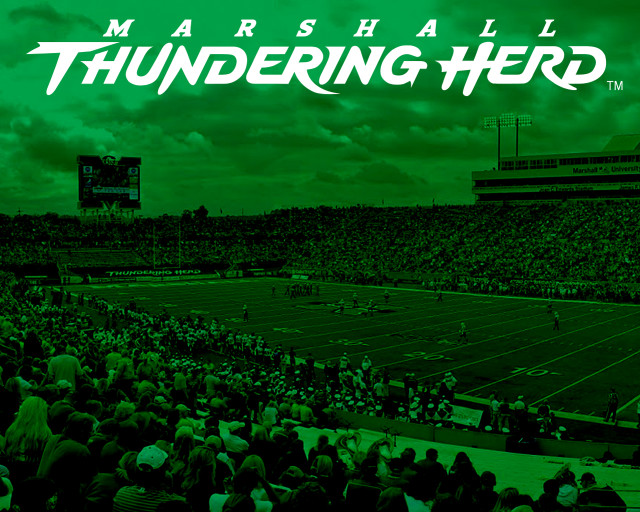 Stadium filled people green background free wallpaper - medium preview image