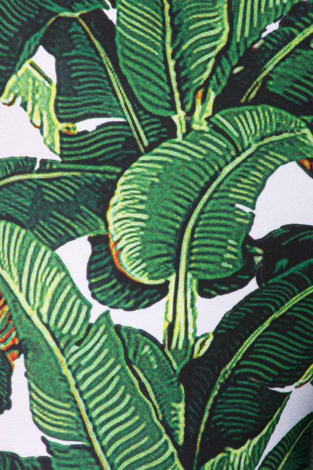 Green plant closeup leaves white free wallpaper - medium preview image