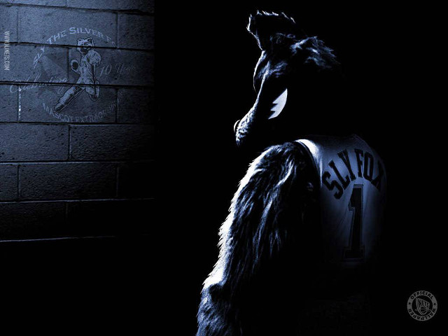 Dog sitting dark head up free wallpaper - medium preview image