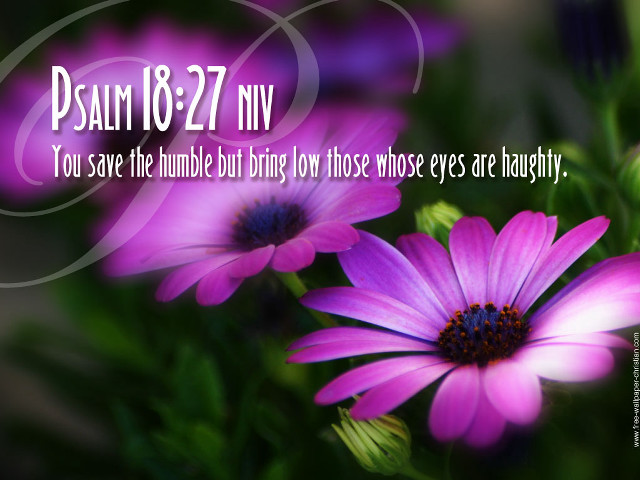 Purple flower bible verse birth free wallpaper - medium preview image