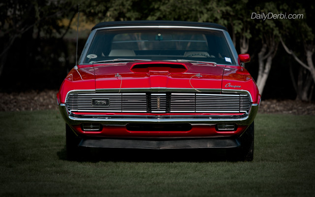Red car grassy area trees free wallpaper - medium preview image