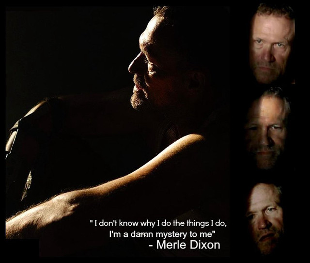 Bearded old man quote dirck free wallpaper - medium preview image
