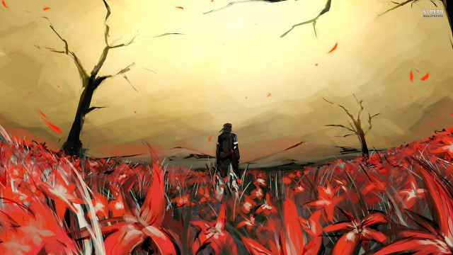 Man field redflowers yellowsky bird free wallpaper - medium preview image