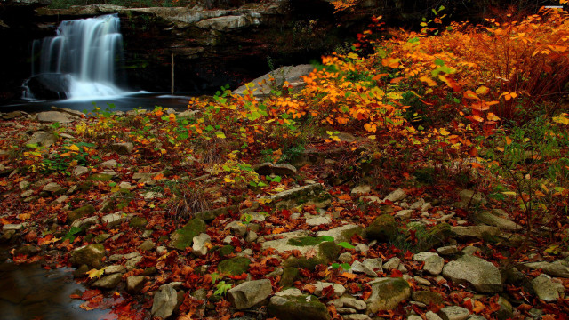Waterfall rocks fall leaves stream free wallpaper - medium preview image