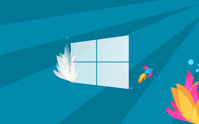 Window bird flower sunbeam flying free wallpaper - medium preview image