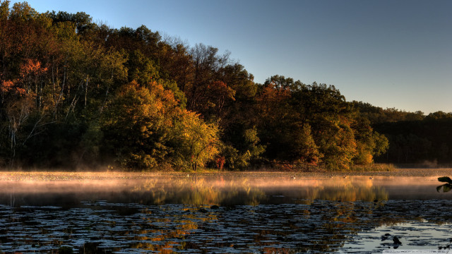 Lake boat trees fog background free wallpaper - medium preview image