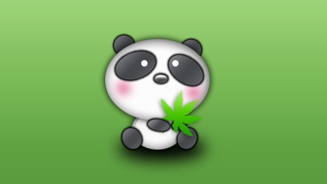 Panda green leaf cute portrait free wallpaper - medium preview image