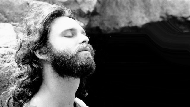 Man long hair beard rock free wallpaper - medium preview image
