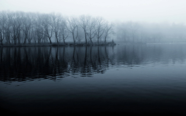 Lake trees fog water reflections #3 free wallpaper - medium preview image