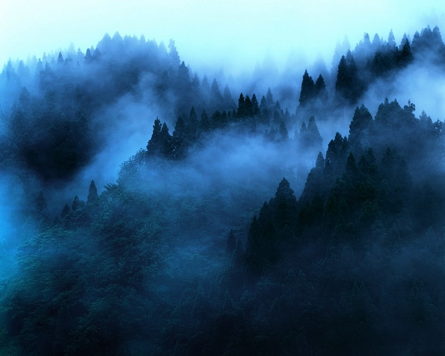 Mountain fog trees distance blue #2 free wallpaper - medium preview image