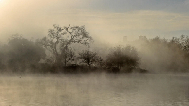 Foggy lake trees building cloudy free wallpaper - medium preview image