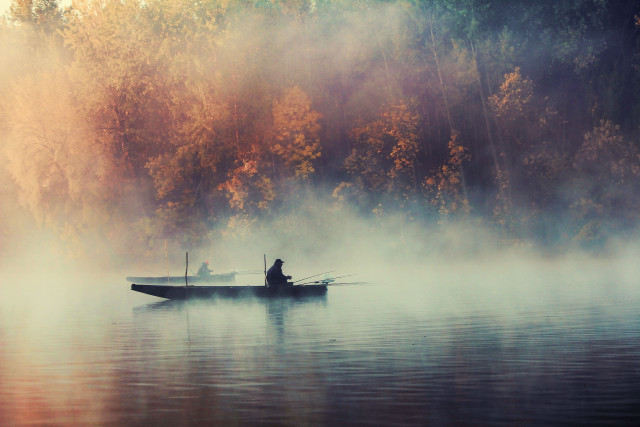 Man boat lake fog trees free wallpaper - medium preview image