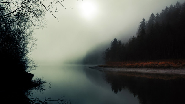 Foggy lake trees forest sun free wallpaper - medium preview image